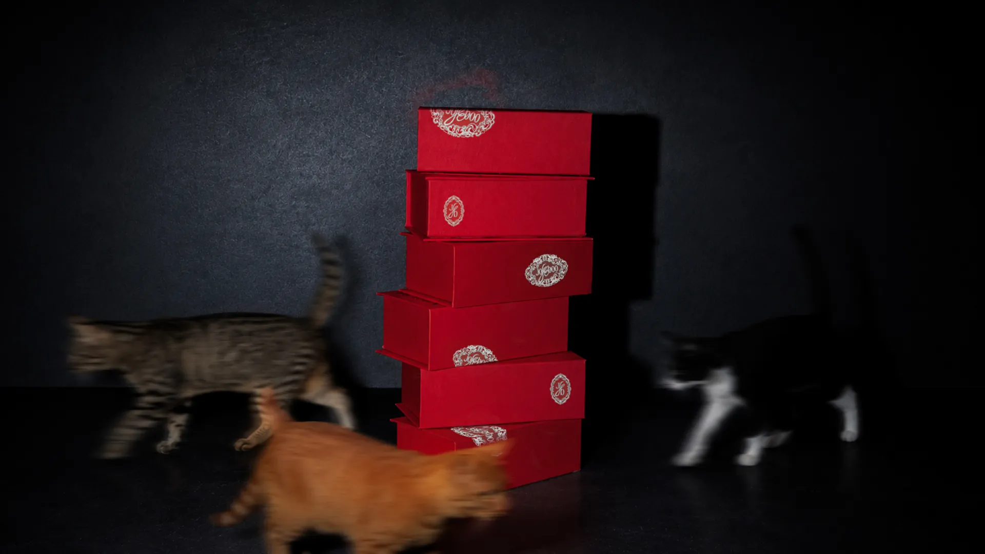 A stack of red rigid boxes, each with a lace seal in a different spot, while three cats blur past in the dark