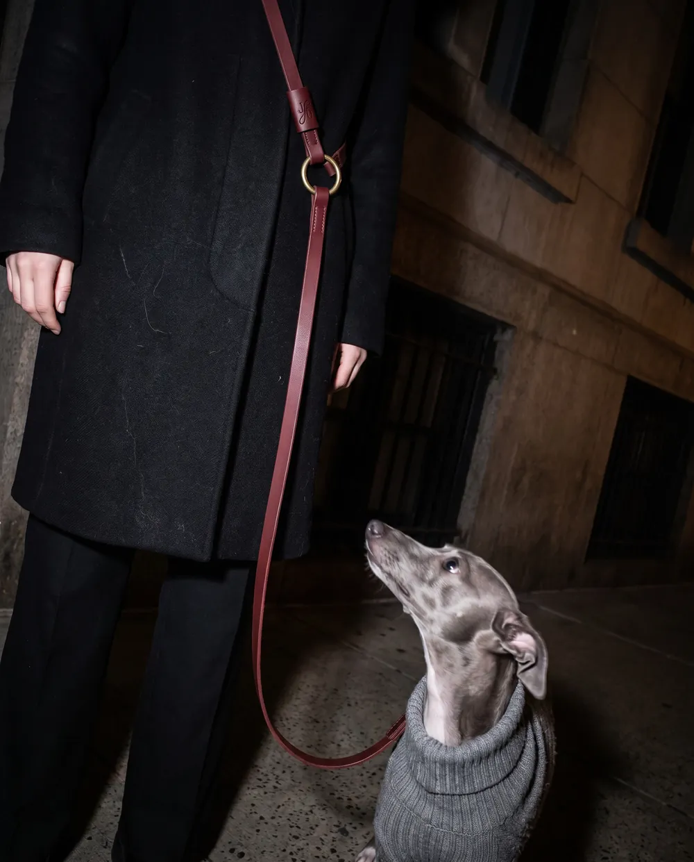 Visualisation: the crossbody lead from low down, the greyhound in its knit looking up at the owner against a stone building at night