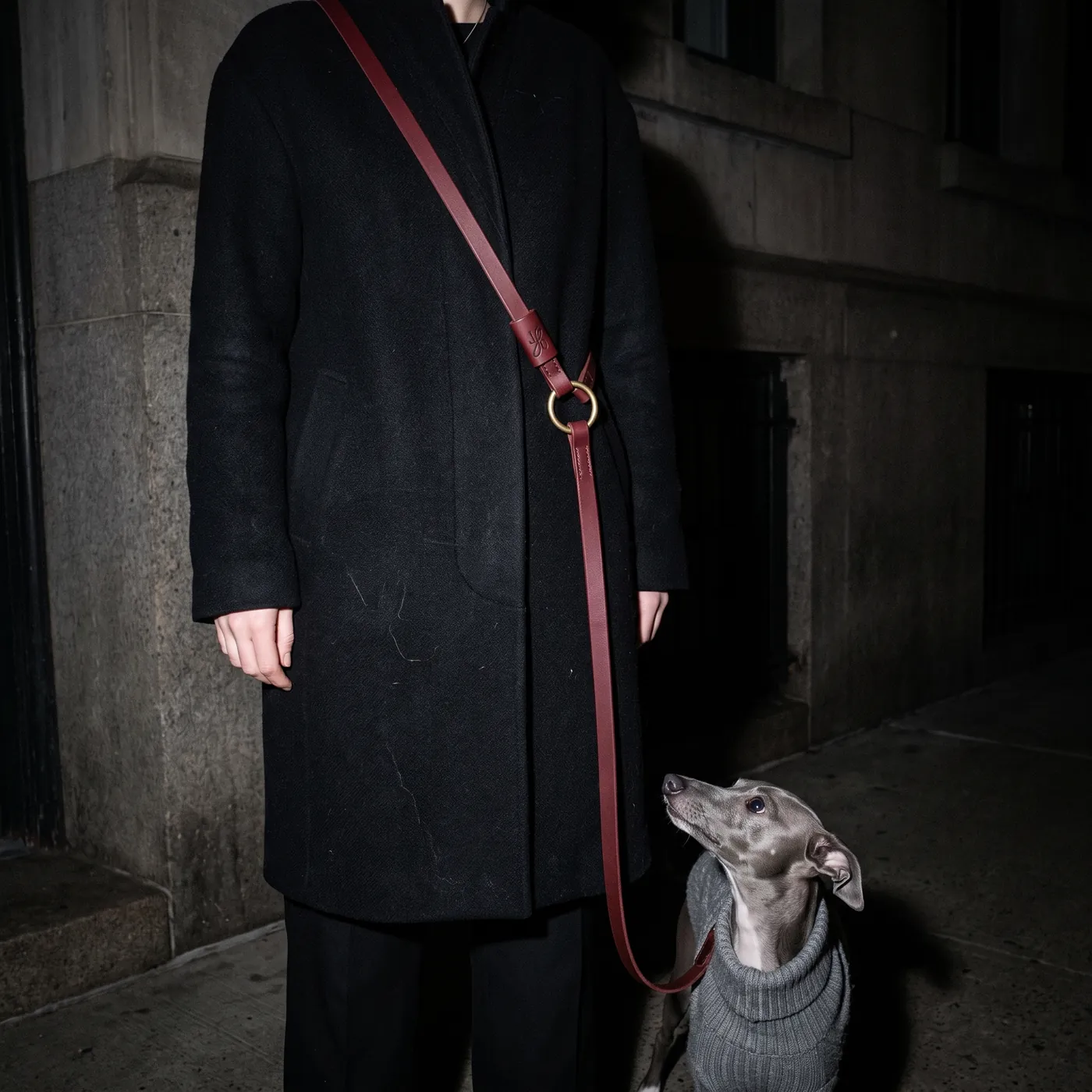 Visualisation: a thin aged red leather lead worn across a black wool coat, a brass ring at the hip, an Italian greyhound in a grey knit looking up at night