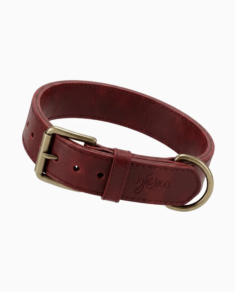 Visualisation: a wide two layer red leather collar with a brass roller buckle and the wordmark after the keeper