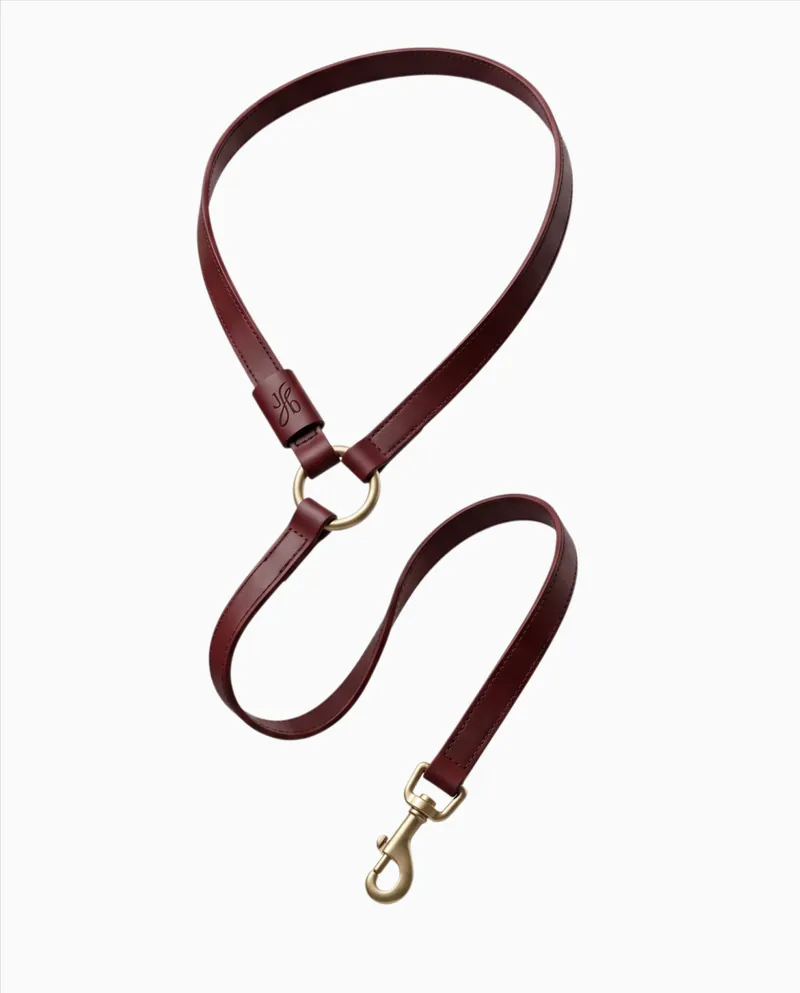 Visualisation: the crossbody leash floating on a pale ground, strap, keeper, brass ring and snap hook