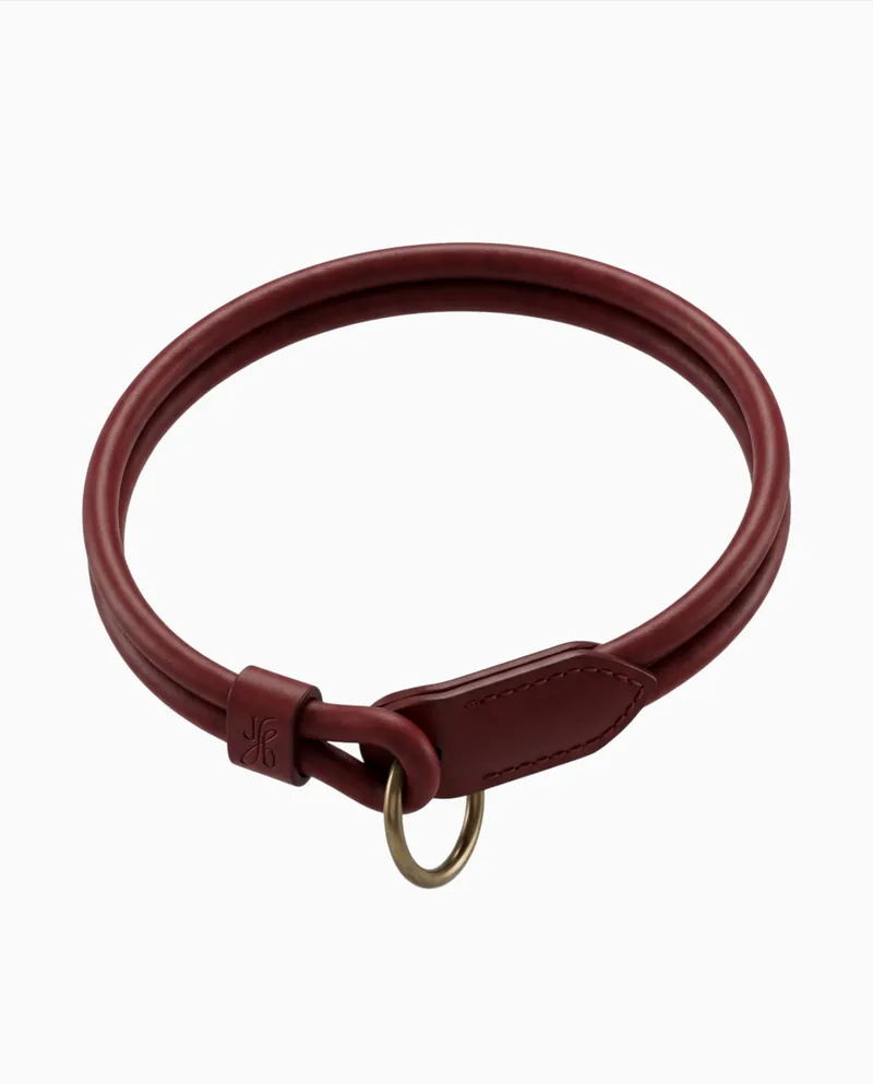 Visualisation: a rolled red leather collar with a square Jb keeper and a brass O ring