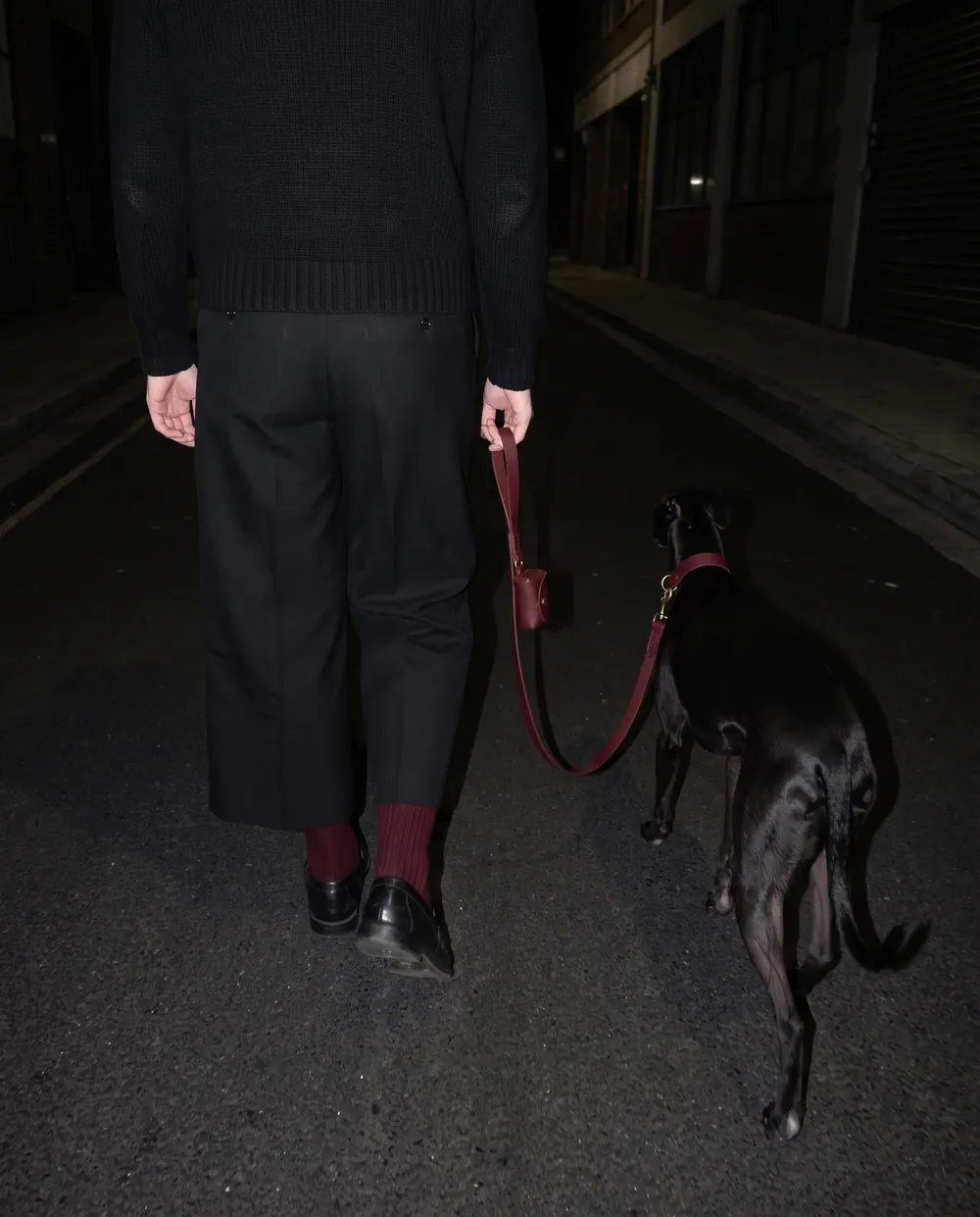 Visualisation: from behind, a figure in black walking the whippet on the red strap down an empty street at night
