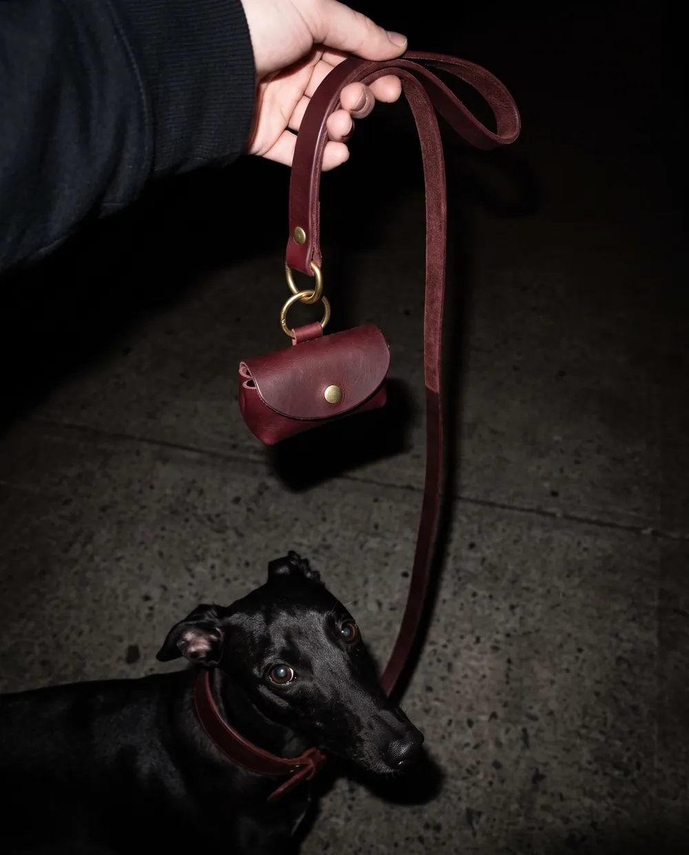 Visualisation: a hand holding the red strap with the bag holder hanging from a brass ring, the whippet looking up